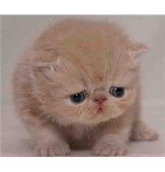 写给未来的‘你’