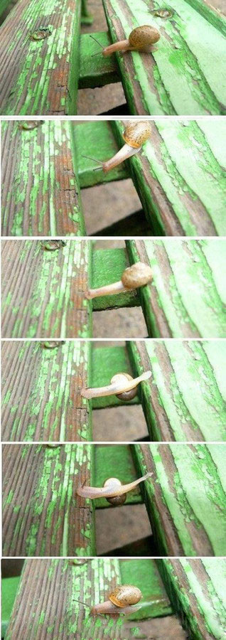 写给现在不断向前奋斗的自己