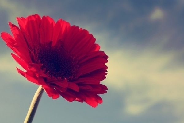 希望有更好的自己