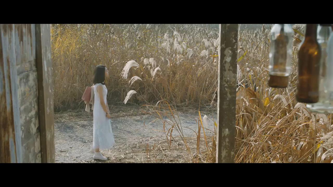 写给驾校毕业的我.