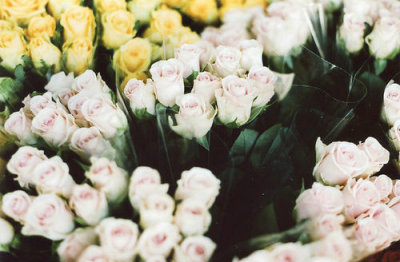 我希望你已经很坚强