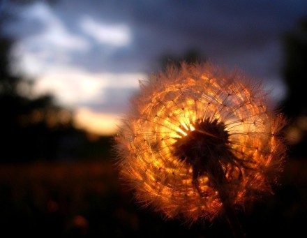 写给未来的自己