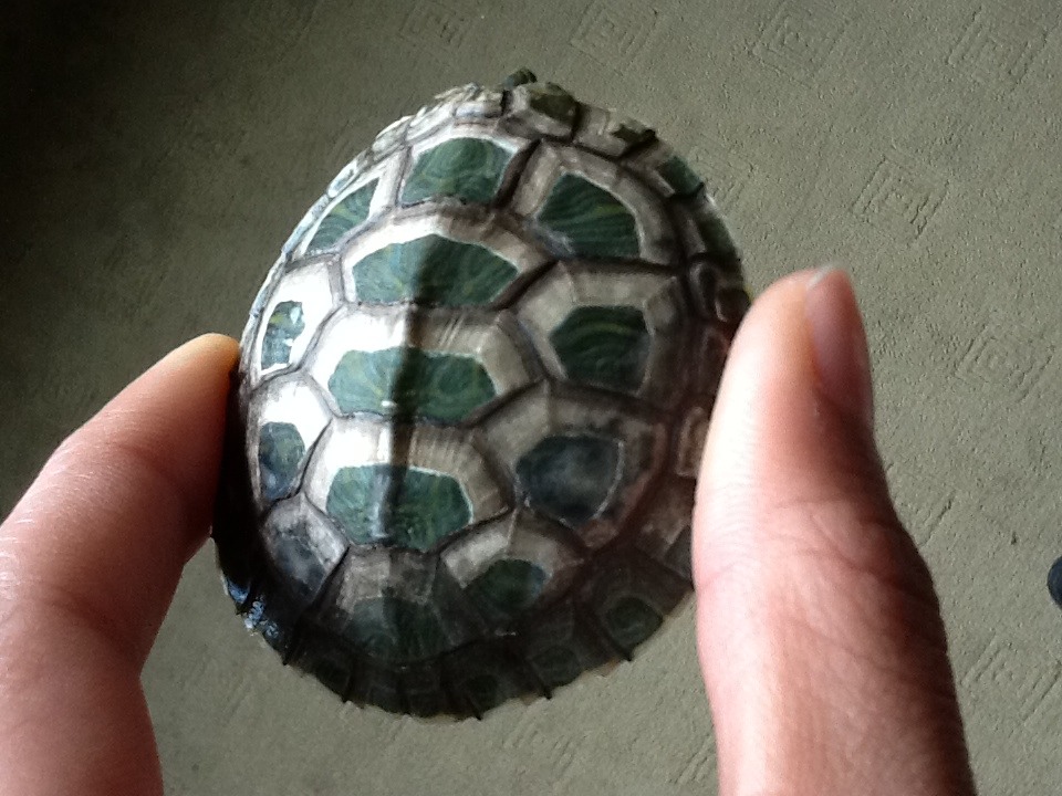 其其写给GaryLaw 3