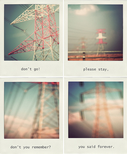 杯中雪尽 , 浮华一生