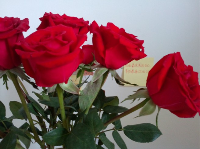 2013年4月23日我对自己说