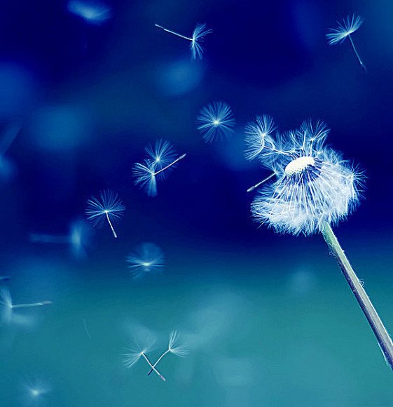 来自新约的力量