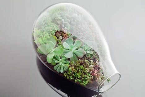 止于唇齿，掩于岁月，一地落花。