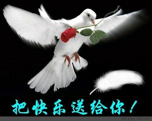 写给未来的你...