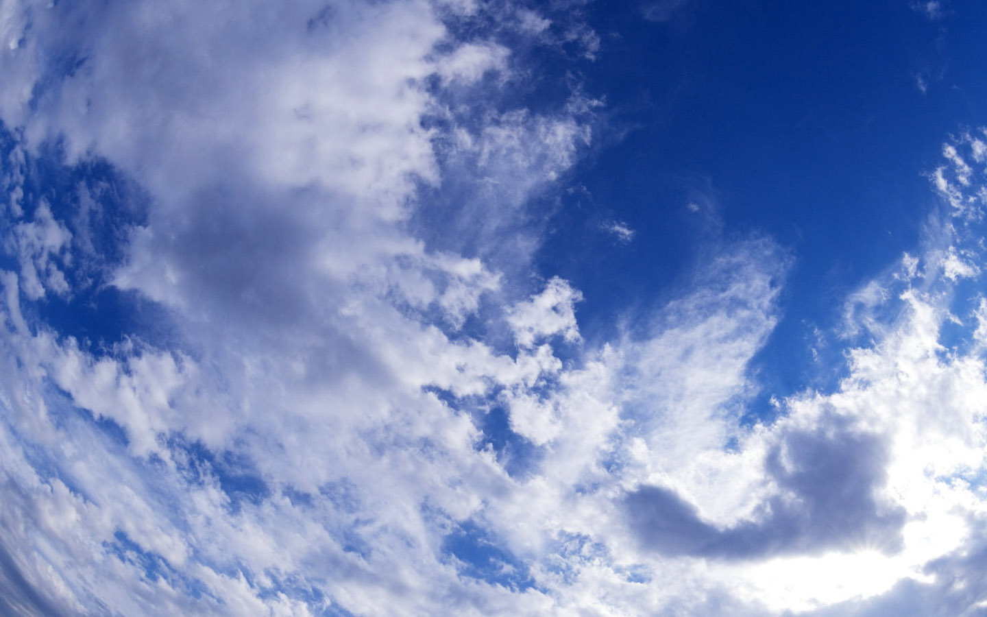 未来的那个伴侣