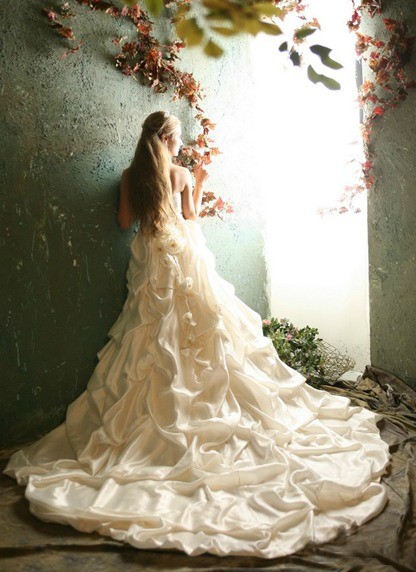 死读书吧，只有能达成你的梦想