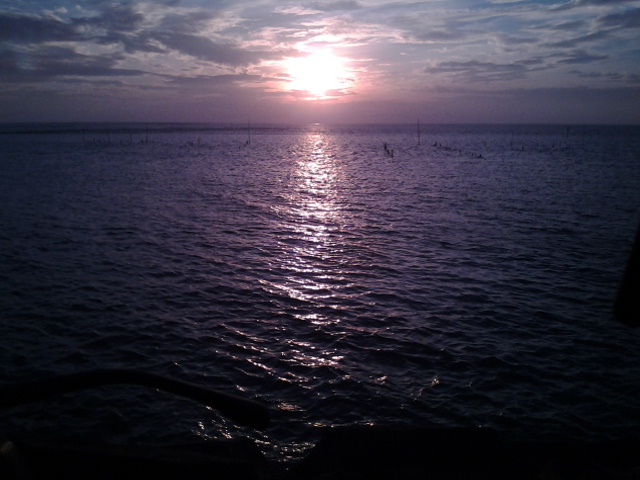 芭nana,昨日夕陽西下