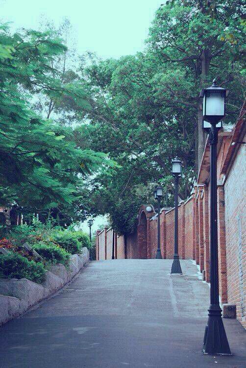 写给你 未来的穸椼