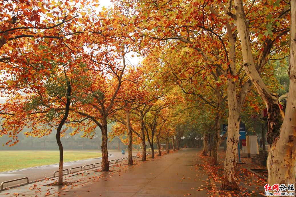 人至贱则无敌（续）