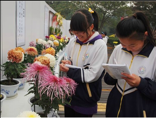 写给未来的哦不过去的班主任