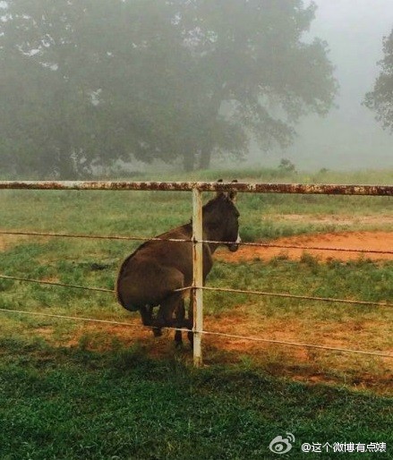 写给未来的自己