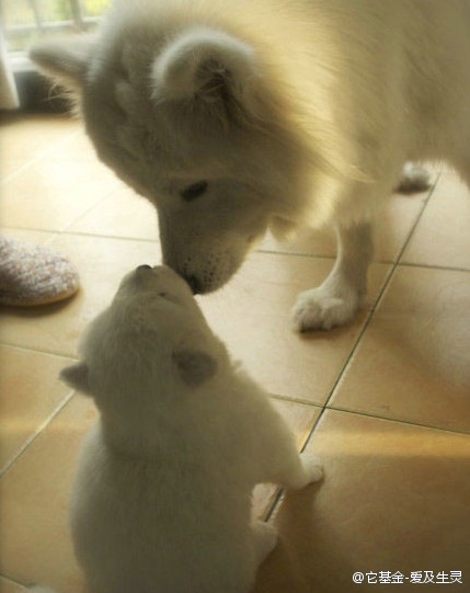 写给一星期后的我