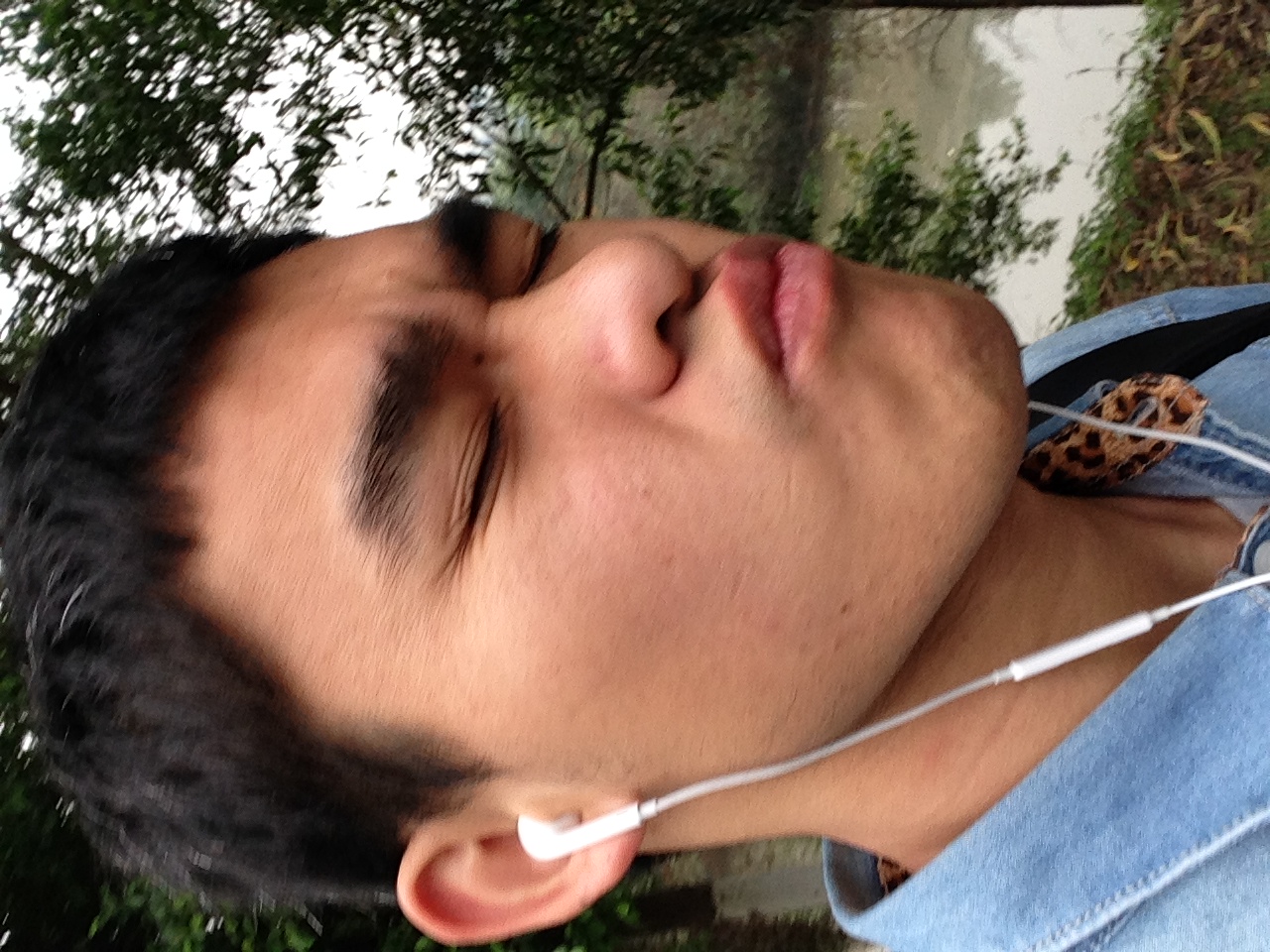 给郑先生的祝福