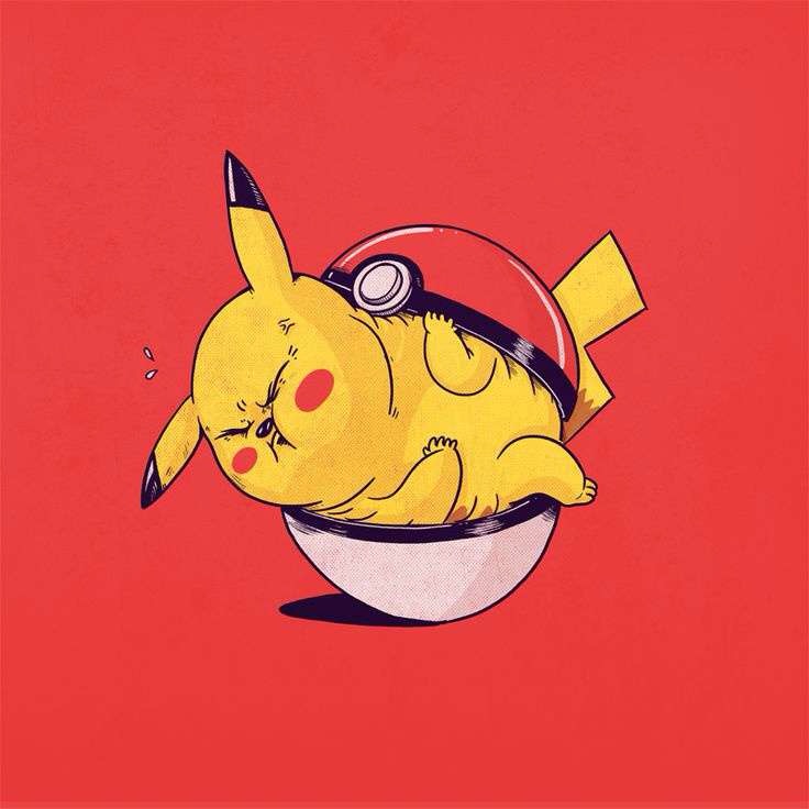 高考后的你一定在狂欢