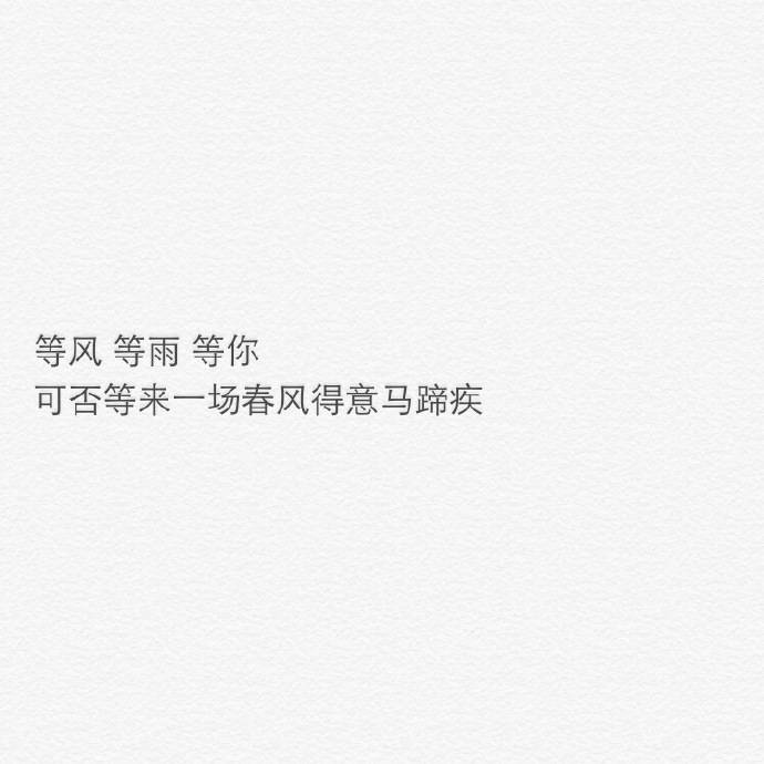 致我最爱的Mr Right先生