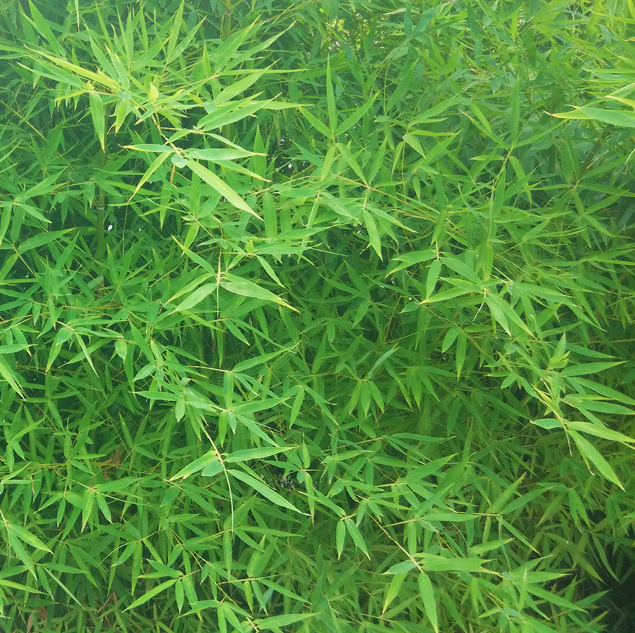 请努力，善待自己  加油！