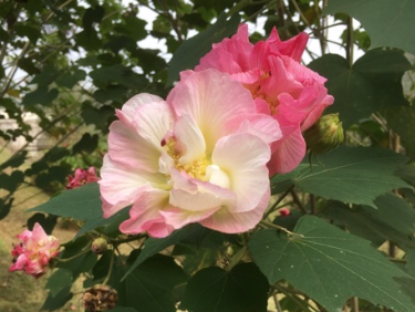写给未来的…