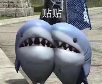 南瓜南瓜