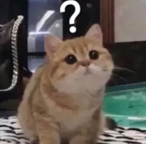 ，