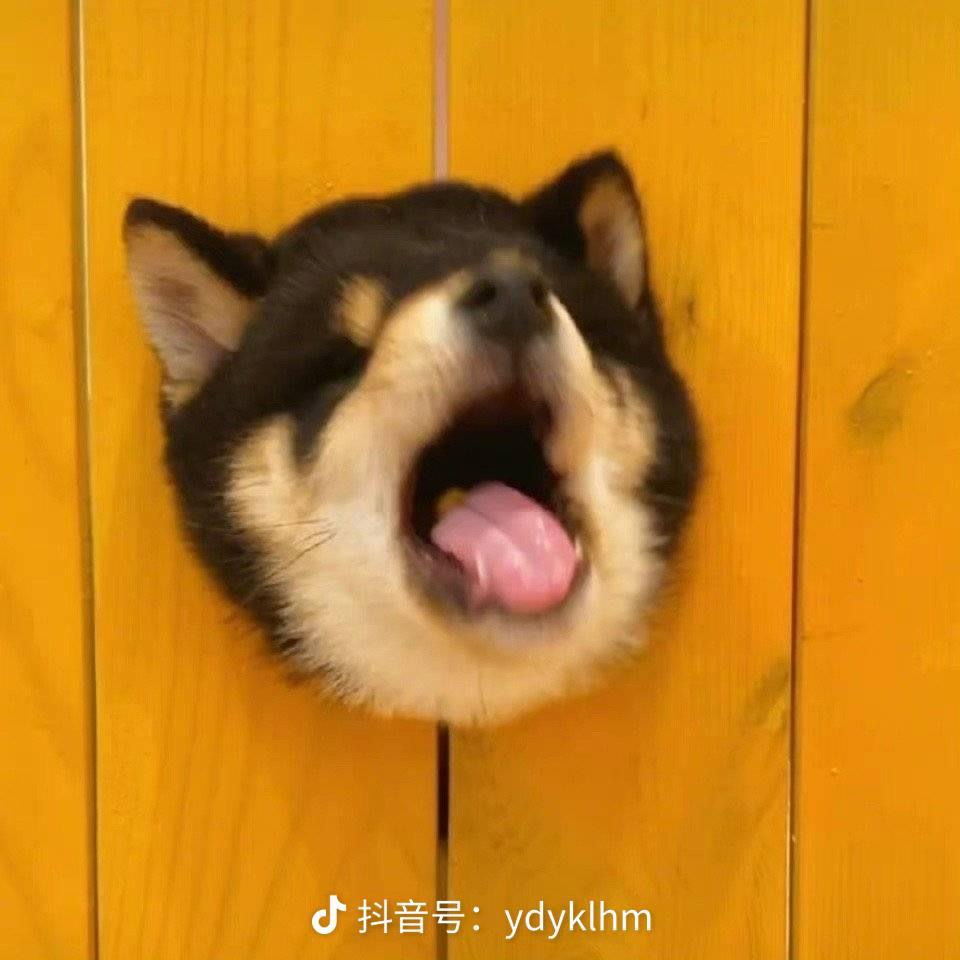 写给一个月后的邓力