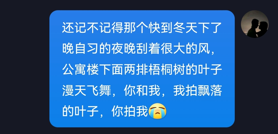我的挚爱「帥帥