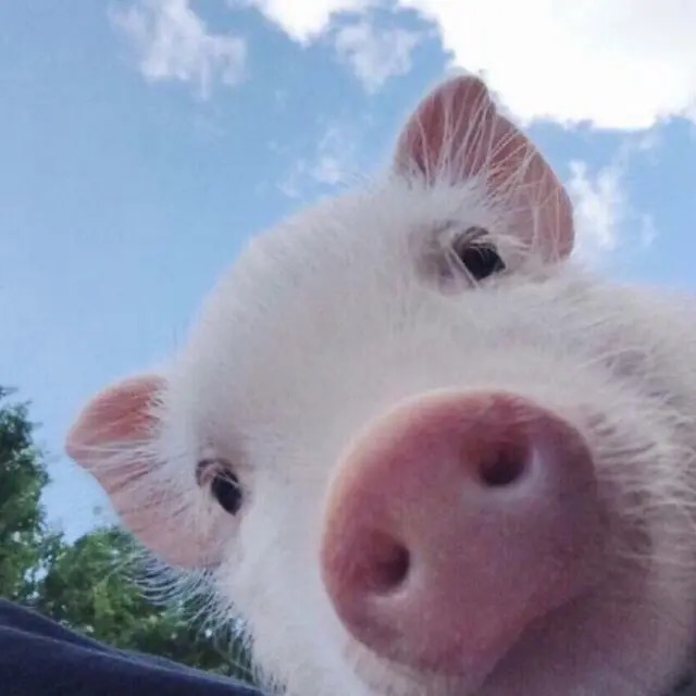 当年的志向实现了吗？