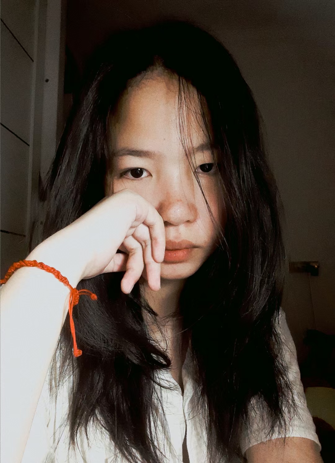 致2026年的兰依依