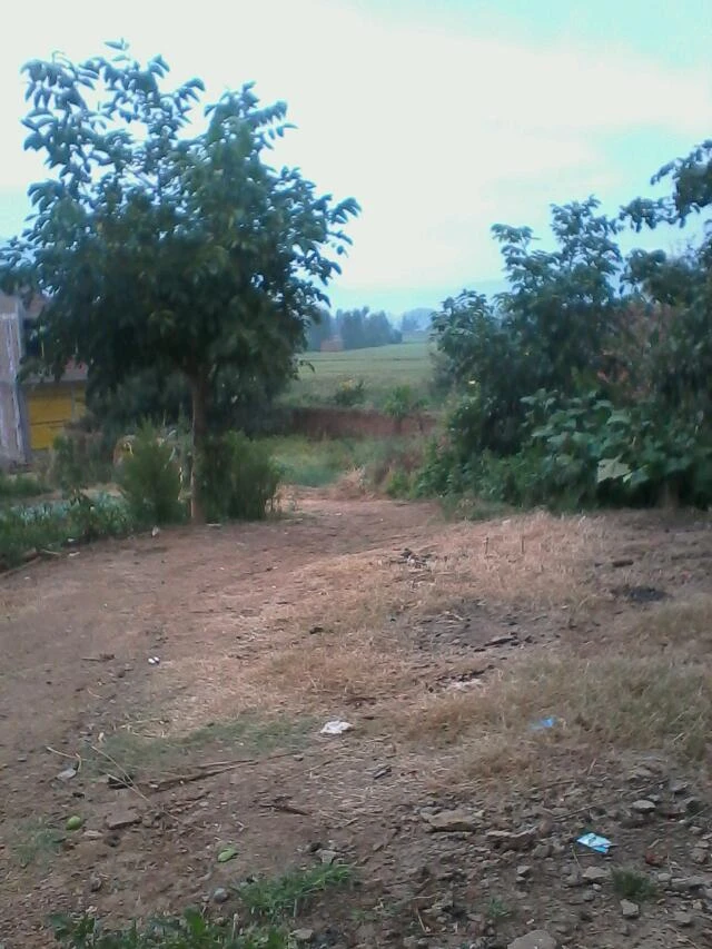 致自己的一封信