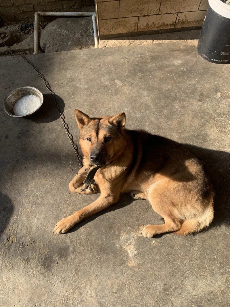 一封来自2026年的信